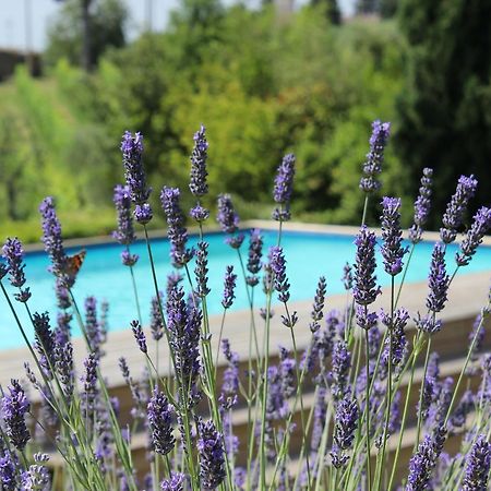 Villa Privata Per Famiglie O Amici 巴巴里诺瓦德尔萨 外观 照片